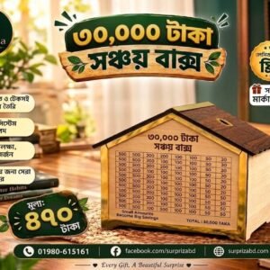 House design 30000 taka saving box